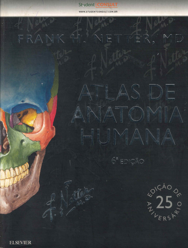 Pergamum - Acervo Online